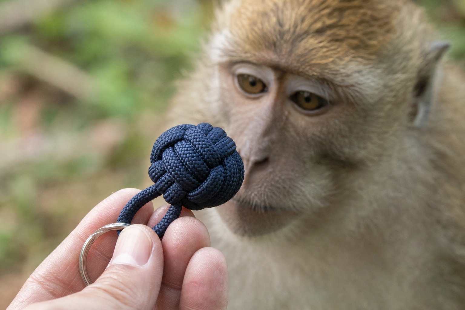 Macro shot of a monkey fist knot keychain in navy paracord held between fingers